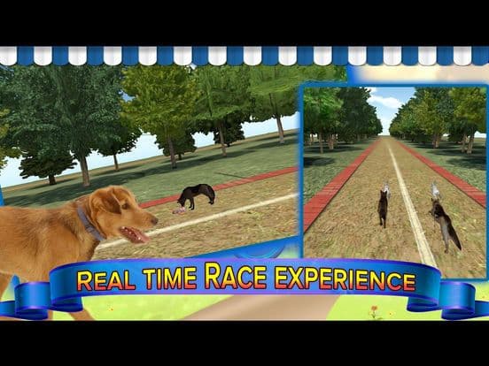 Subway Dog and Angry Rabbit Endless Running Race: Wacky Obstacles and Temple Surfers screenshot 3