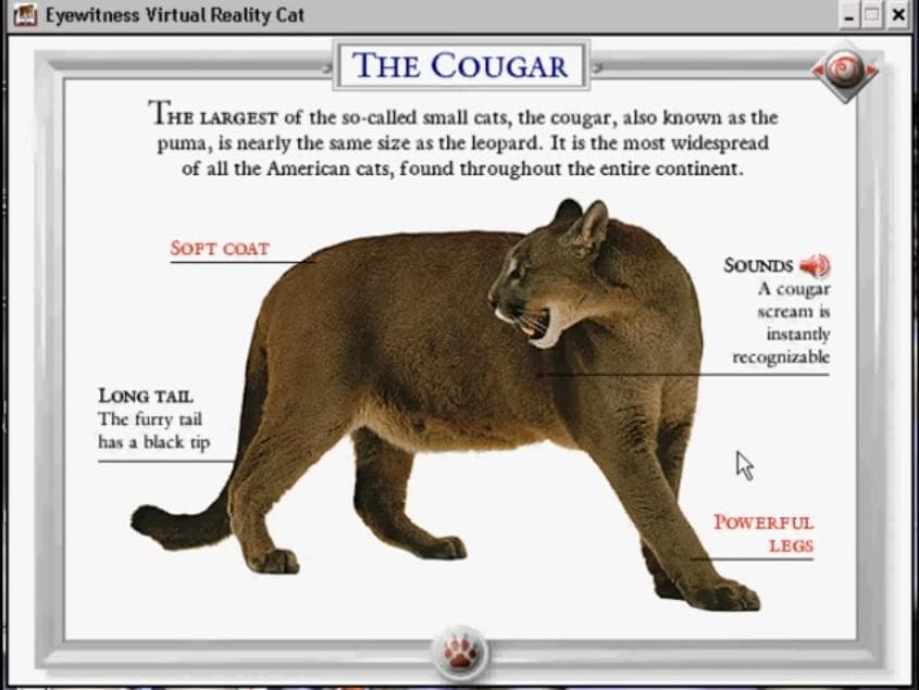 DK Eyewitness: Virtual Reality Cats screenshot 6