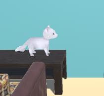 Cat Break Things!