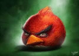 The Biggest Bird