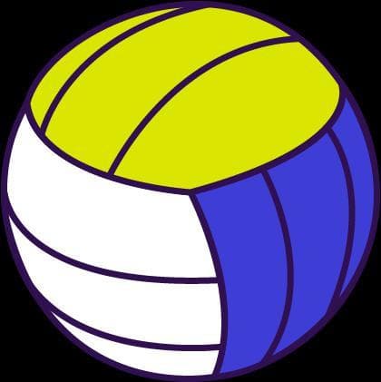 Nice Serve! Volleyball