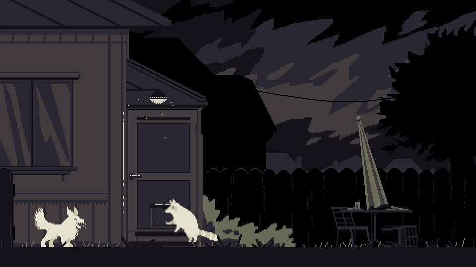 No Need For Best screenshot 3
