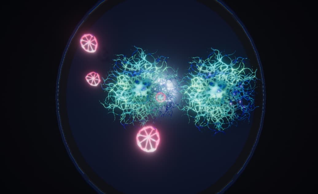 Fungus Frixum screenshot 3