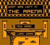 What Was Left In The Arena screenshot 2