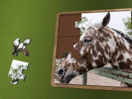 Super Jigsaws Horses screenshot 2