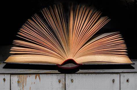 the book (FaaizNdam)