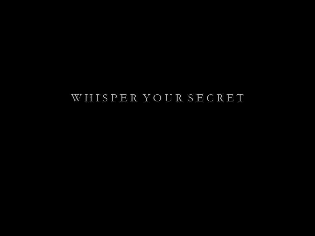 Secrets Neednt Hide screenshot 2