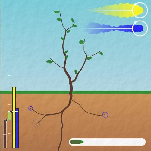 Treelogy