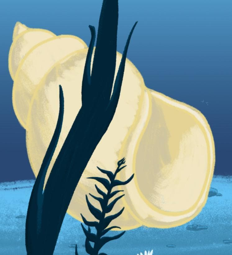 Underwater Adventure! screenshot 3