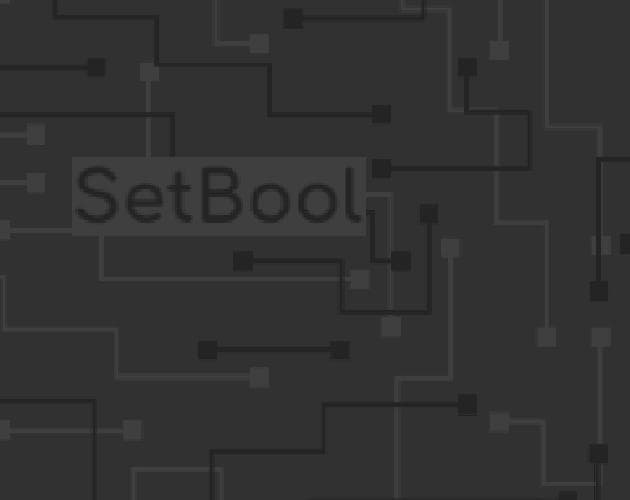SetBool