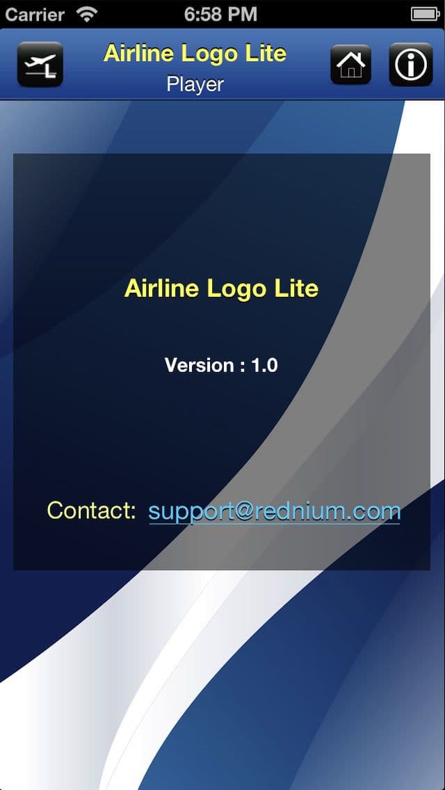 Airline Logo Lite