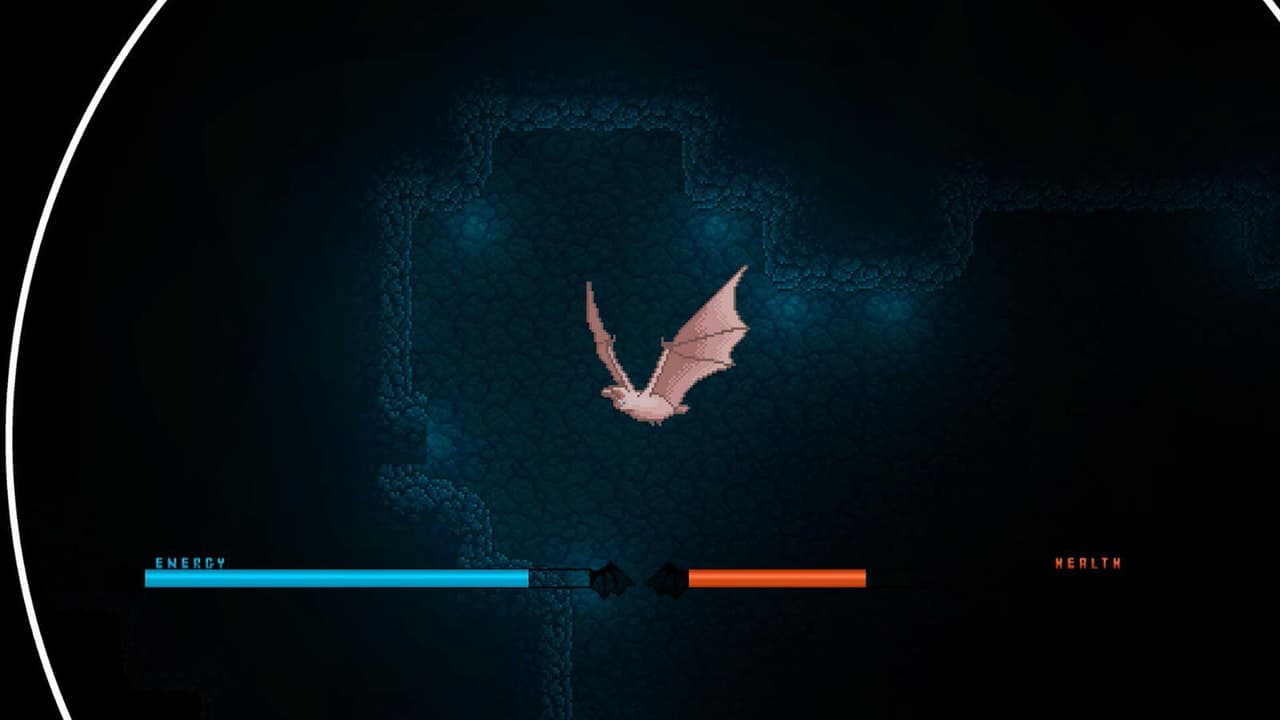 Chiroptera