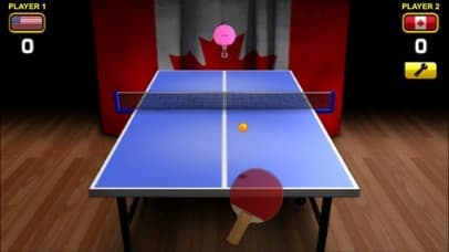 World Cup Table Tennis screenshot 3