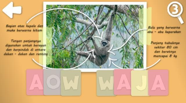 NEBAK GAMBAR: Fauna Indonesia screenshot 4