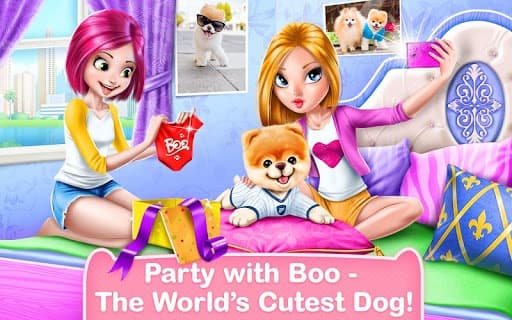 Boo - The Worlds Cutest Dog screenshot 6