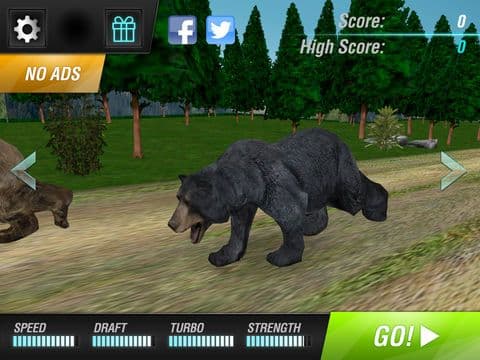 Bear Simulator 2016 . Wild Bears Simulation Games For Kids Free screenshot 4