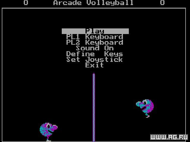 Arcade Volleyball