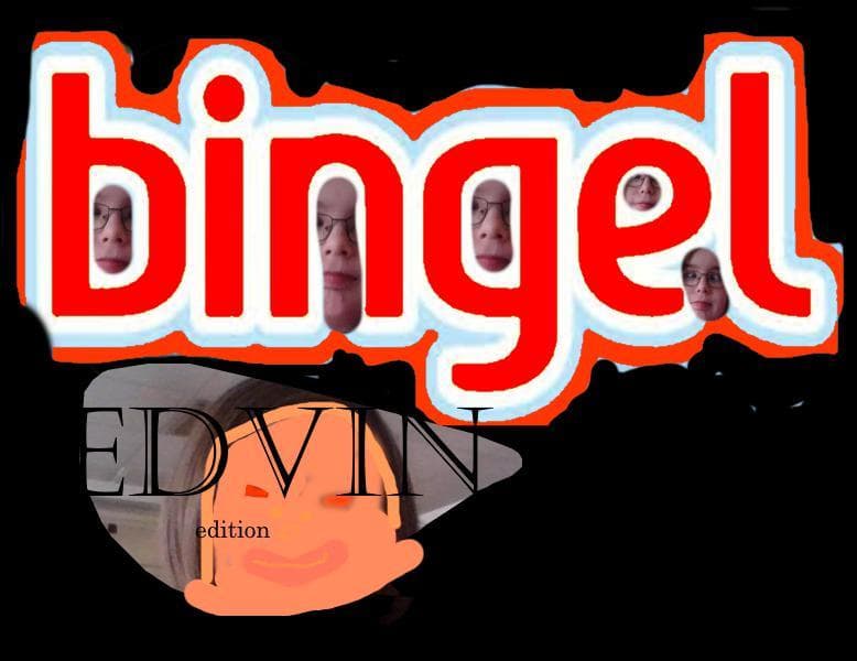bingel edvin edition