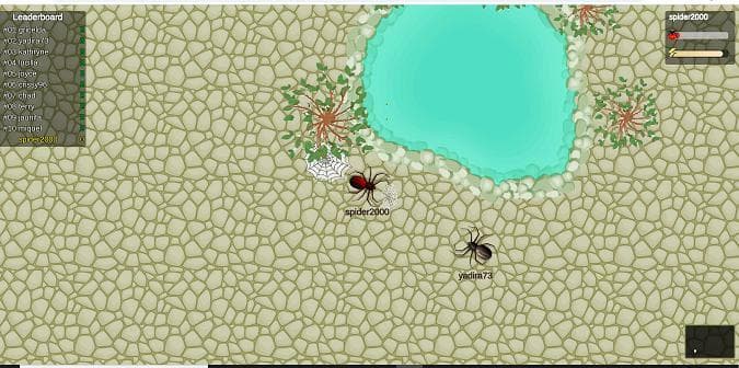 World Spiders Z