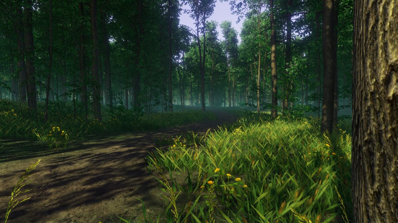 WanderWoods