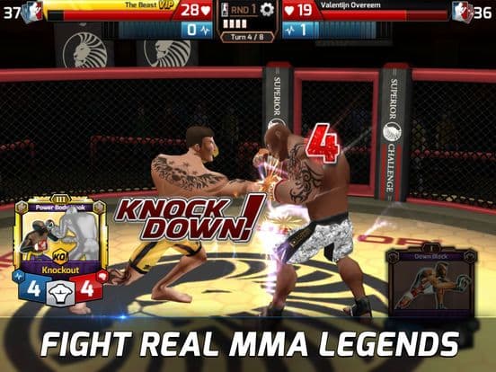 MMA Federation - The Fighting Game screenshot 5