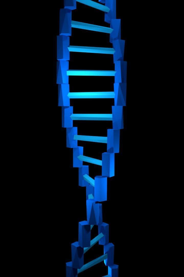 Tap Tap Terraform