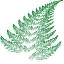 The barnsleyfern