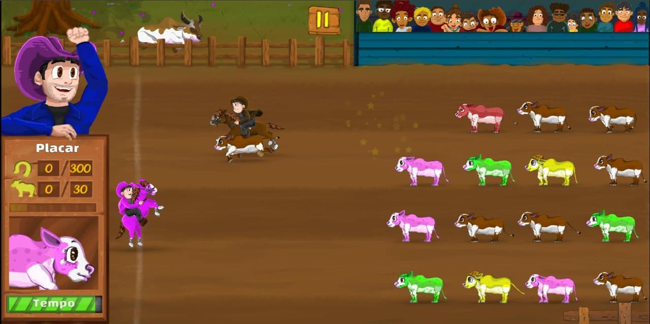 Country Fest screenshot 4