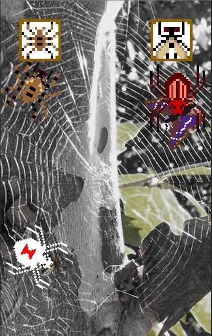 Spider Atsume