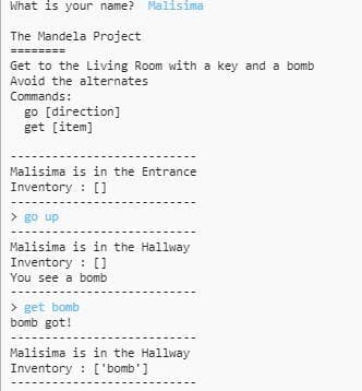 The Mandela Project screenshot 2