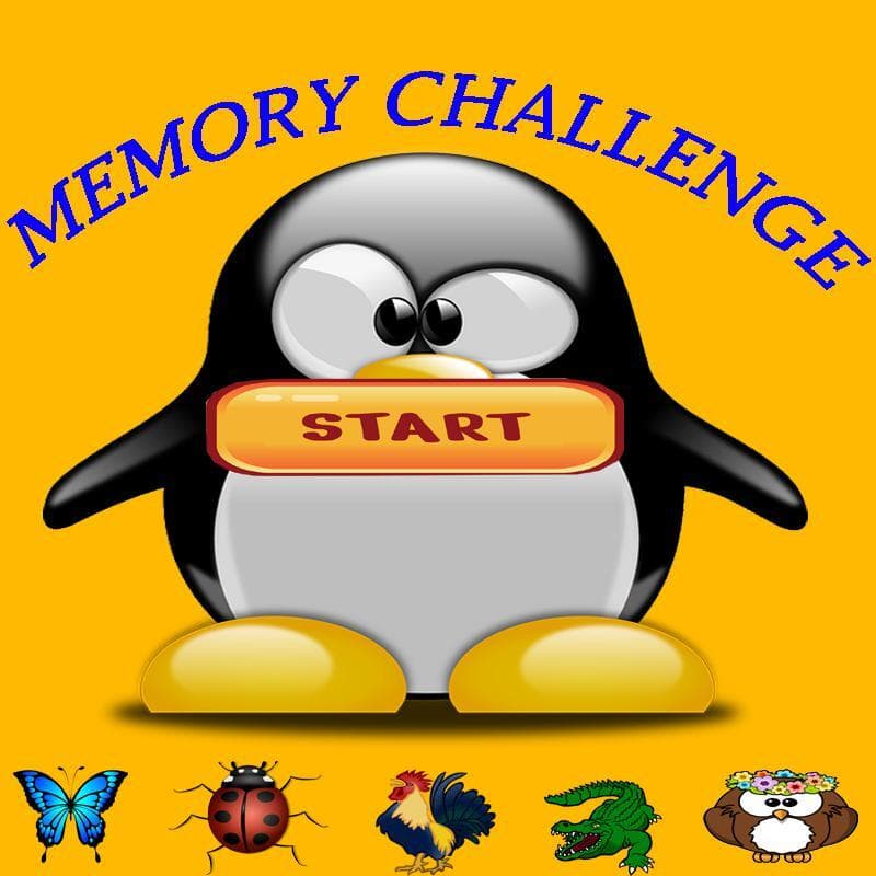 Memory Challenge