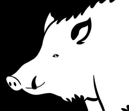 American Pork
