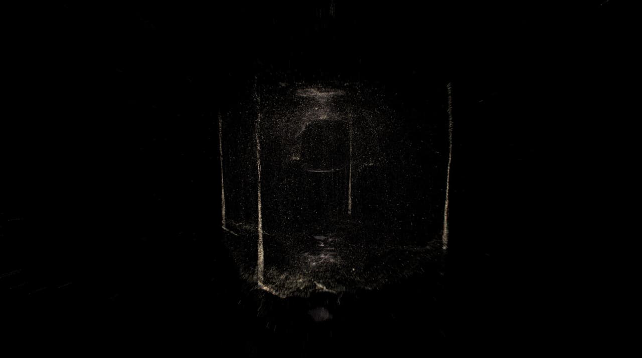 Growth, Chaos, Form & Beauty screenshot 2