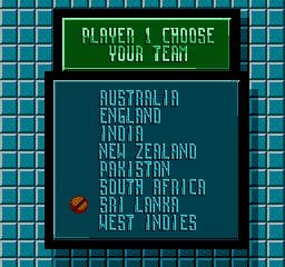 International Cricket screenshot 4
