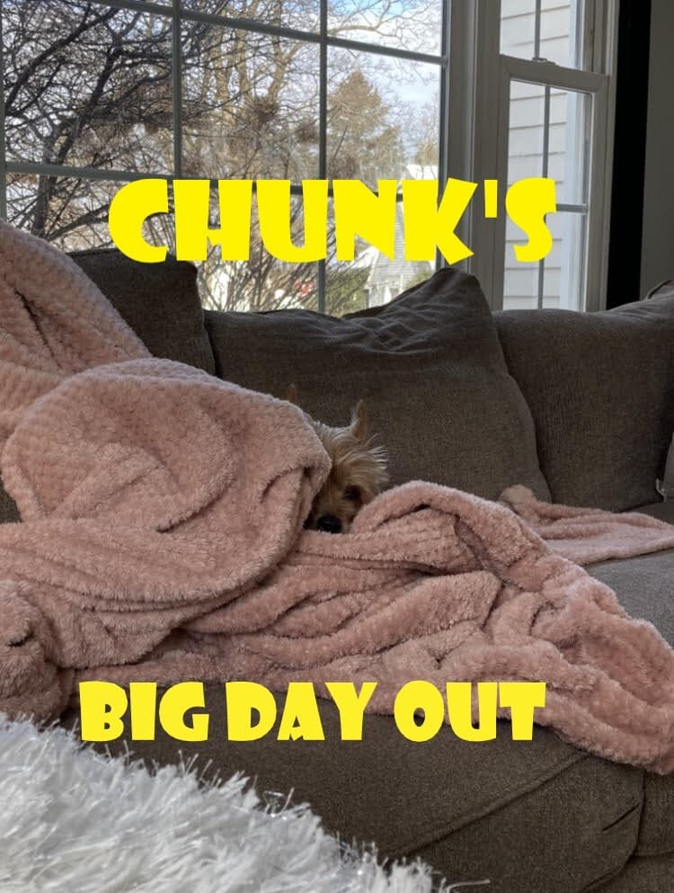 Chunks Big Day Out