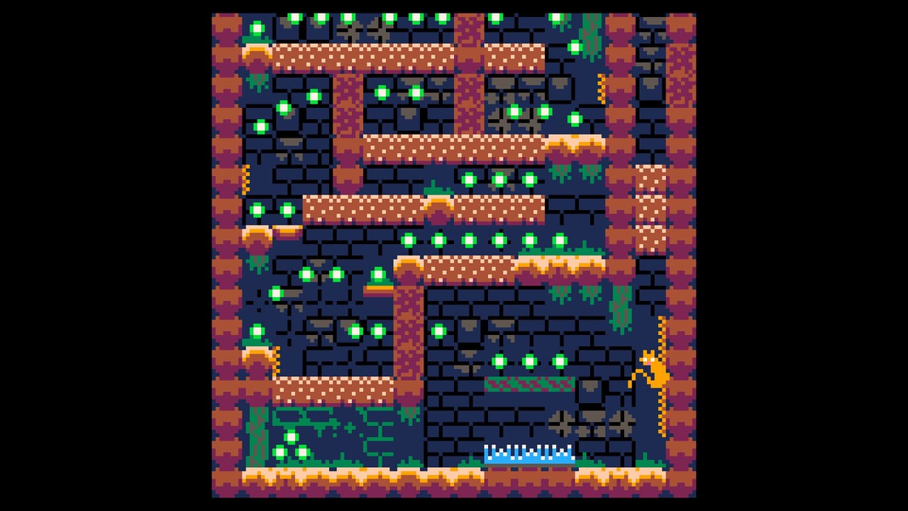 Zebulon: A Lost Cat