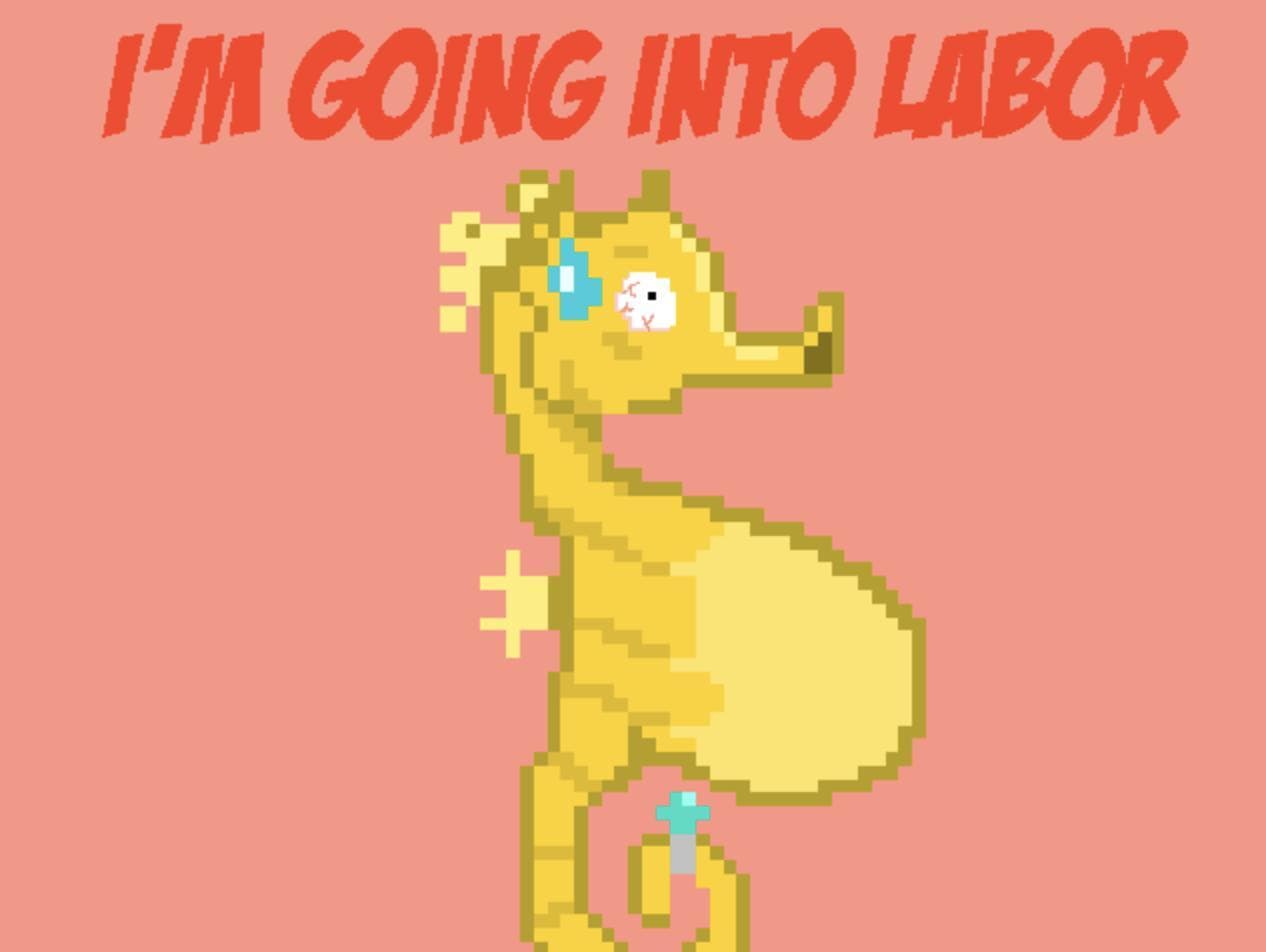 Daddy Seahorse screenshot 3