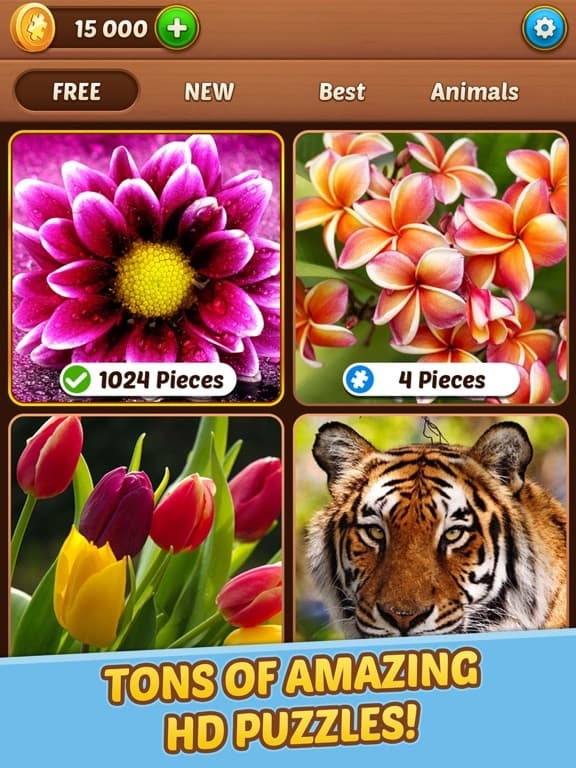 Jigsaw Art Puzzle Mania screenshot 3