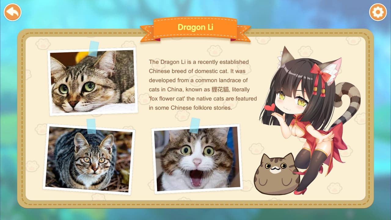 Miss Neko 2 screenshot 3