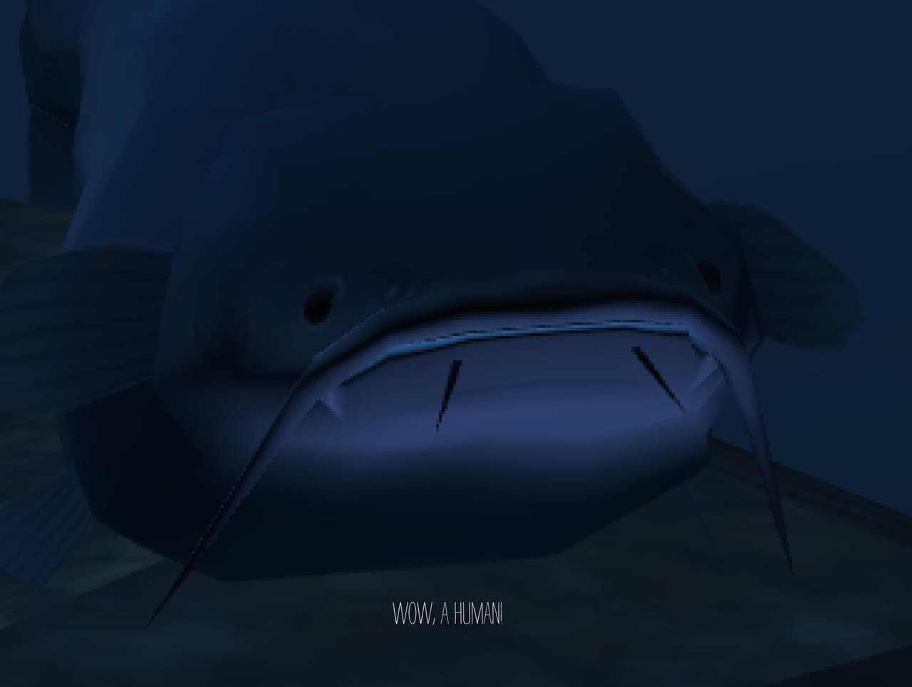 Cá Trê screenshot 2