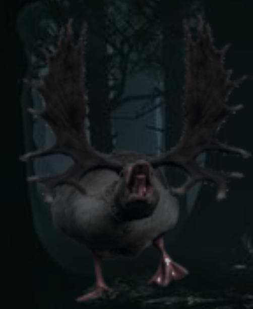 Duck, Duck, Moose?!