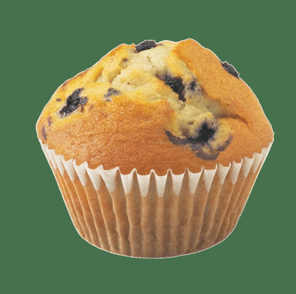 Blueberry Muffin