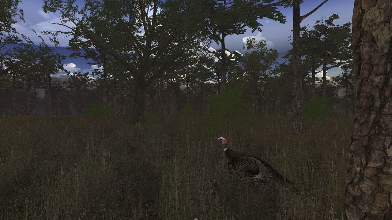 Wild Turkey Hunter VR screenshot 6