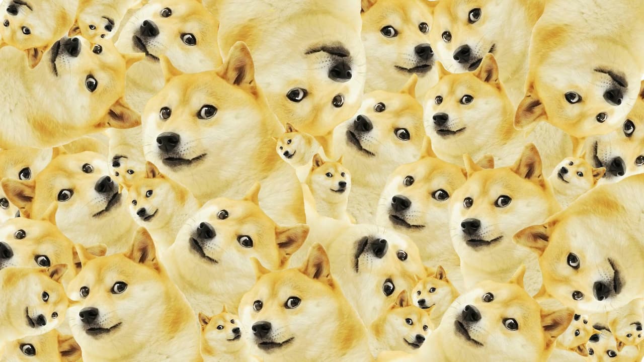 Doge Lore