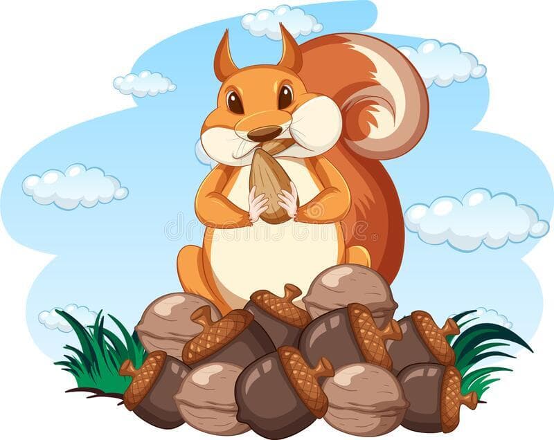 Fat Squirrel: The Game
