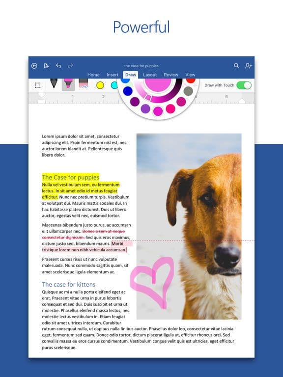 Microsoft Word screenshot 3