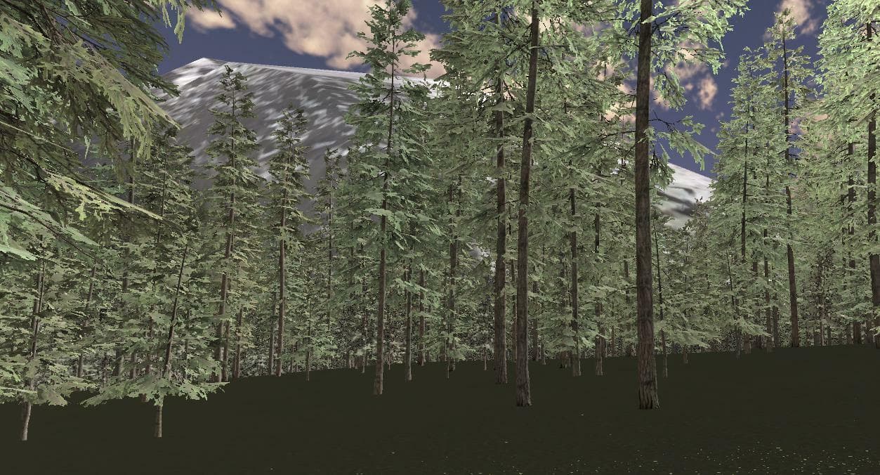 Wanderer (Searcher123)