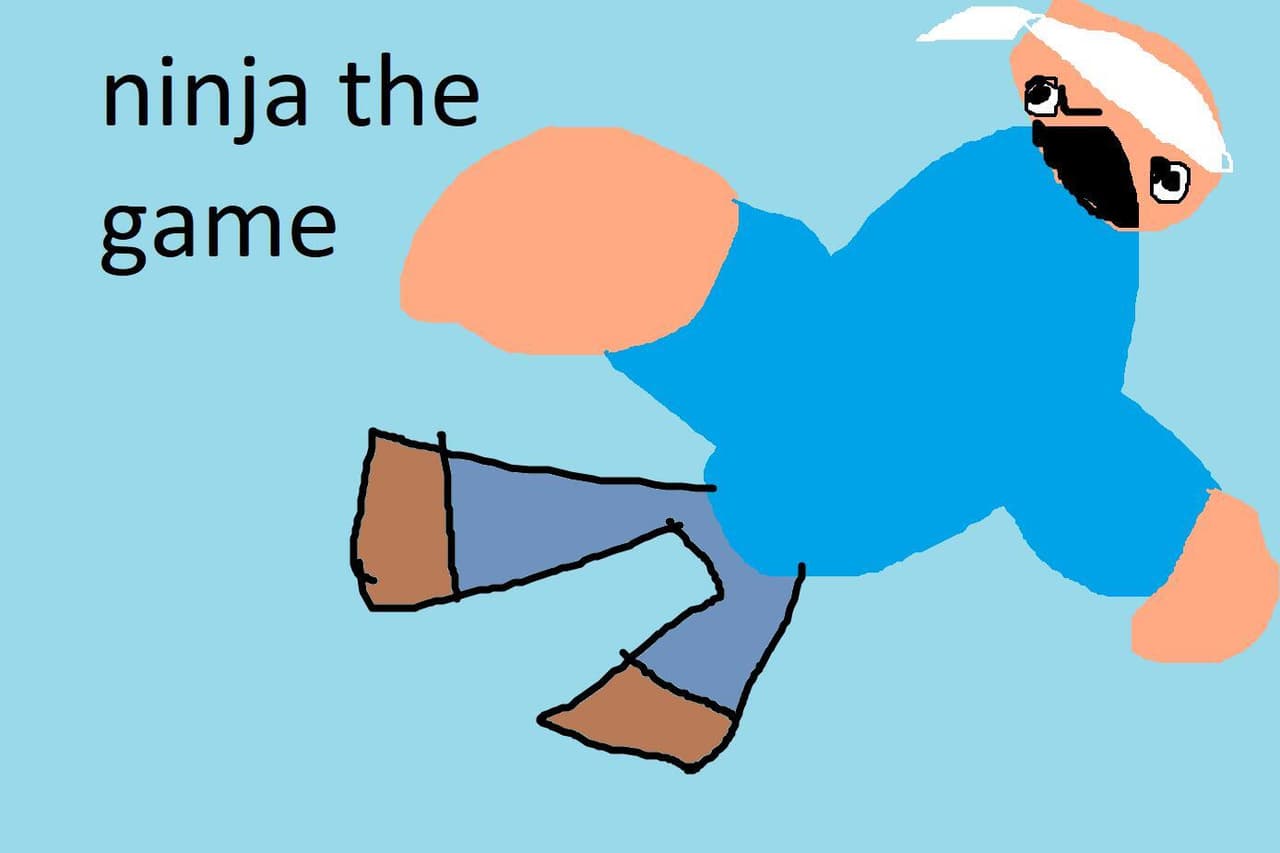 ninja the game