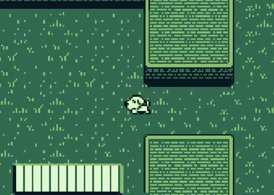 Wolf Dog screenshot 2