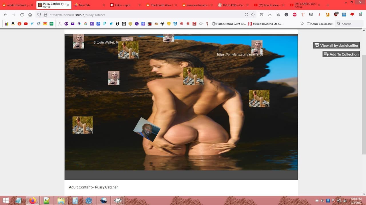 Pussy Catcher screenshot 2